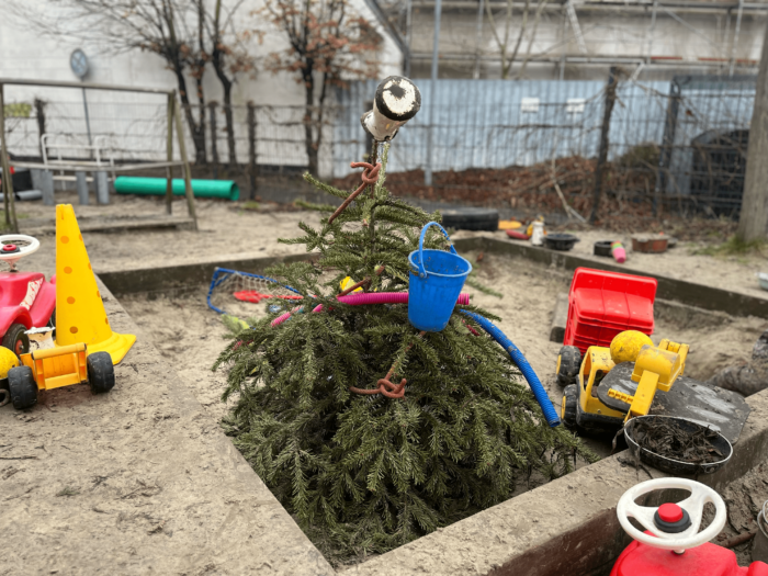 Alter Weihnachtsbaum im Kita-Garten zu neuem Leben erweckt